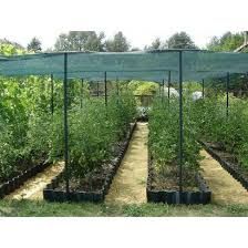 Plasa 35-40%Umbrire 12x50m=1000lei; 12x100m=2000lei; Garantie 5ani