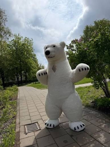 Мишка умка для поздравлений