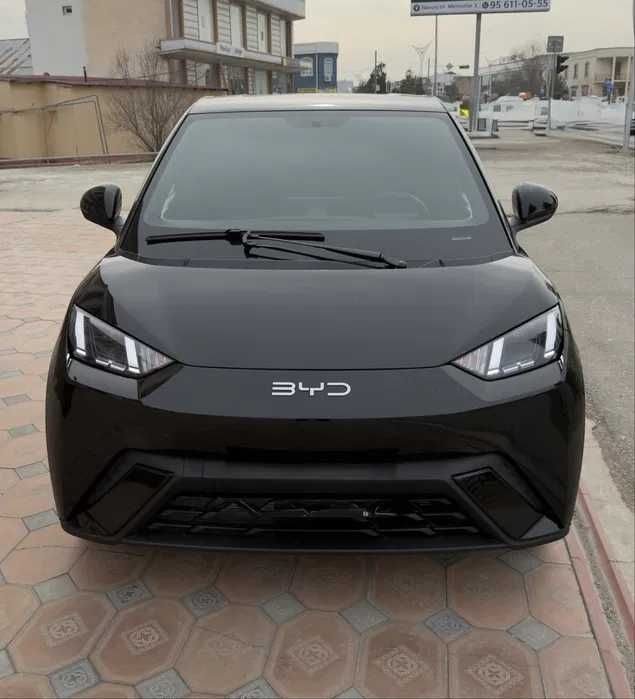 byd seagull halol nasiya