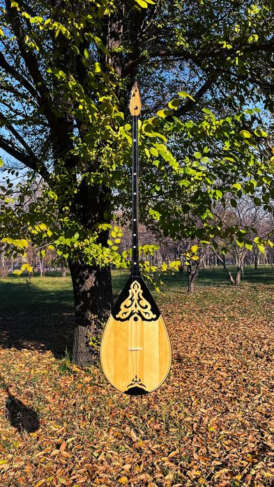 Домбыра оптом чехол для домбра и гитара