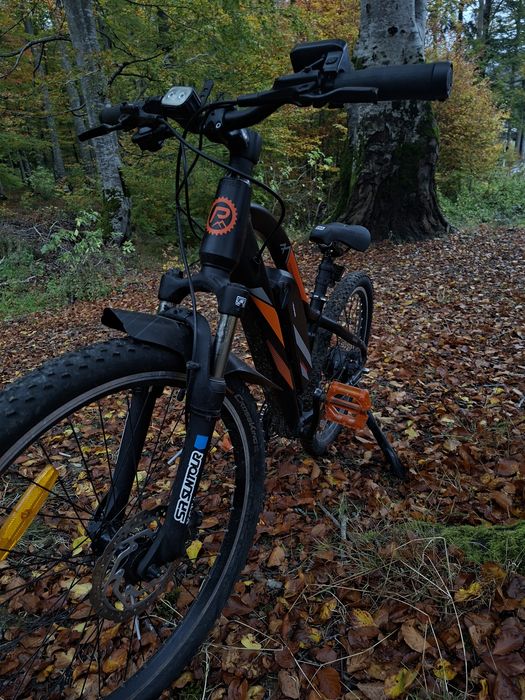 bicicleta Blaunpunkt Prophete 51721