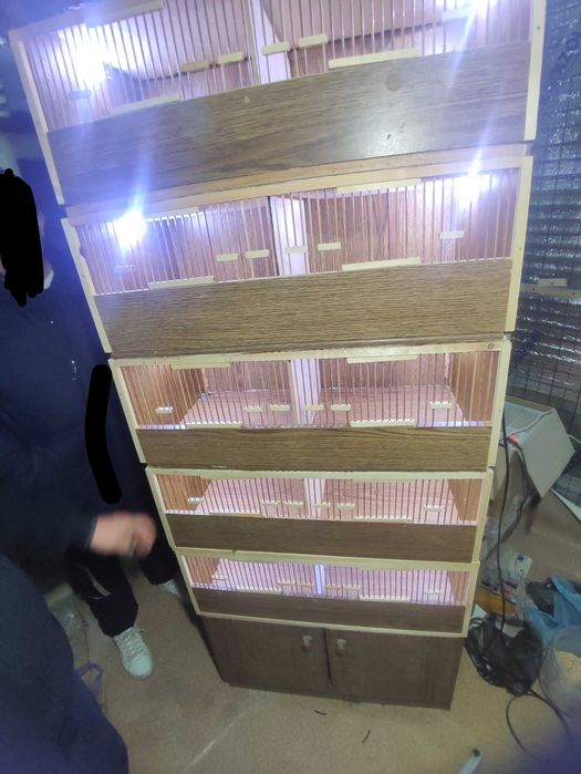 Bedana va boshqa qushlar uchun qafas