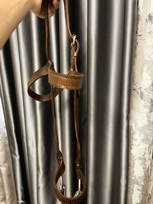 Уздечка ЖҮГЕН