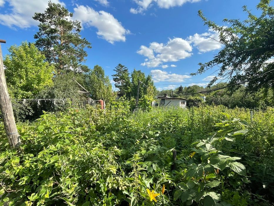 Продам дачу, недорога