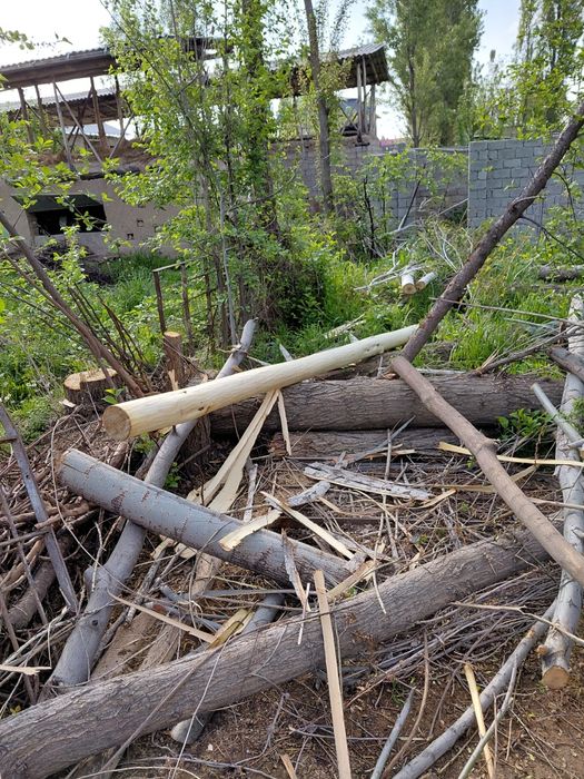 Terak 6 va 4  metrli qalinlari sotiladi