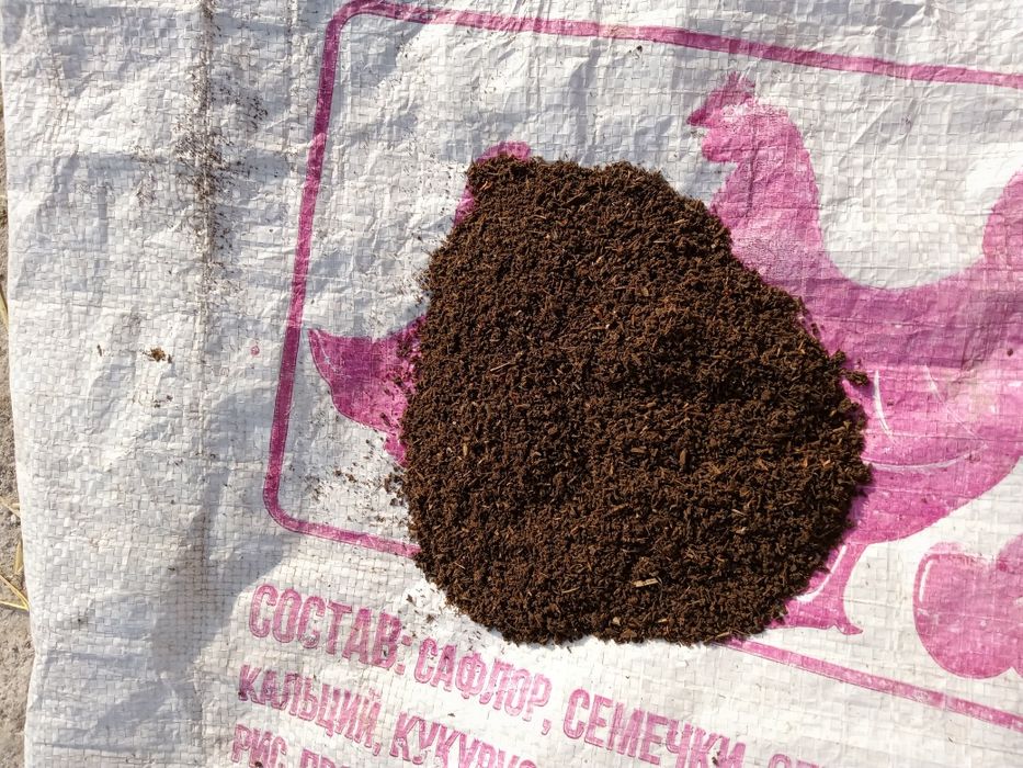 Калифорния кизил ёмгир Чувалчанги Сотилади