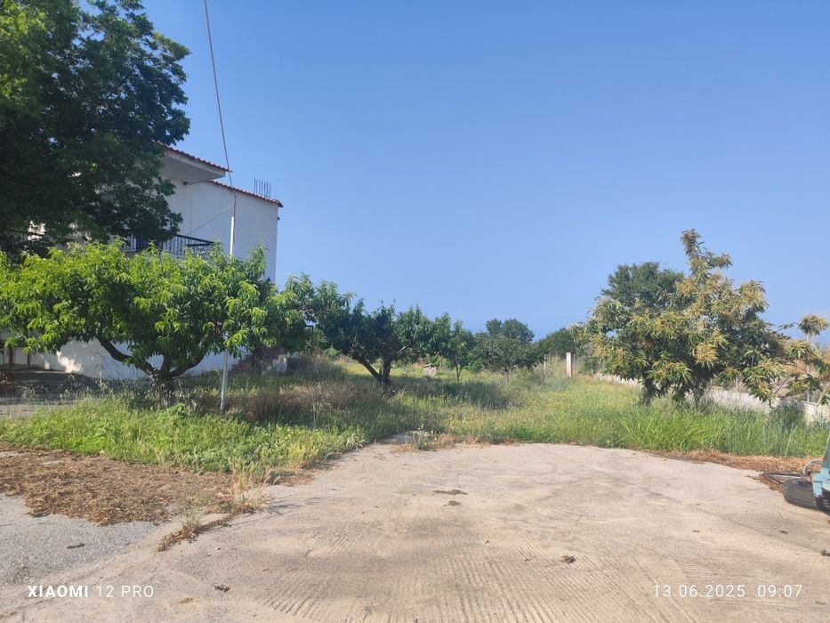 Индустриален имот