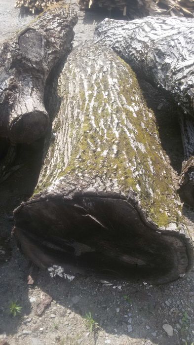 Cherestea prelucrata: molid, duglas, stejar, paltin, frasin, nuc,tei,