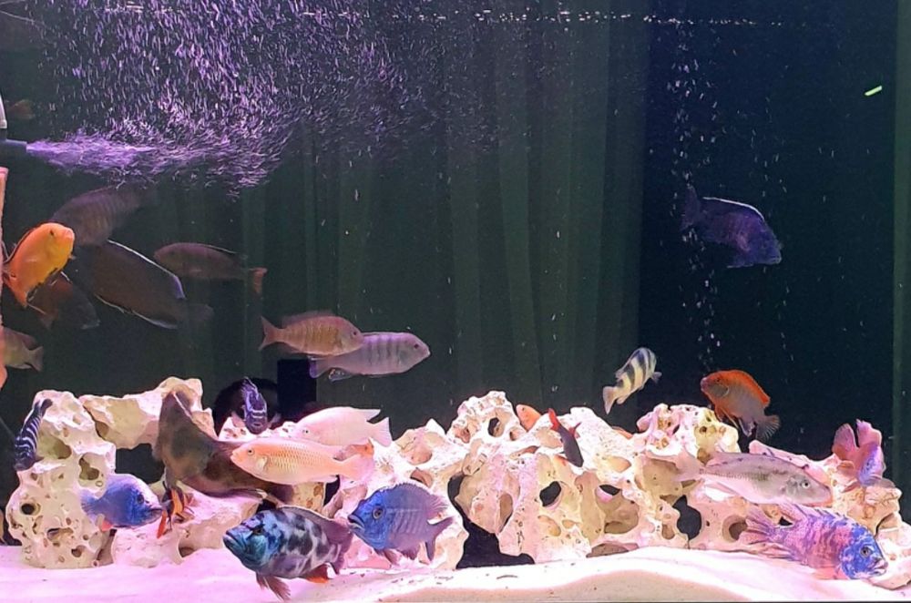 Камни для аквариума 18 клогам.природные.