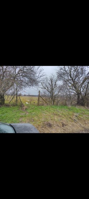 Продава се Парцел в с. Ягнило, Област Варна - 1620 кв.м за 7 €/кв.м - Снимка #4