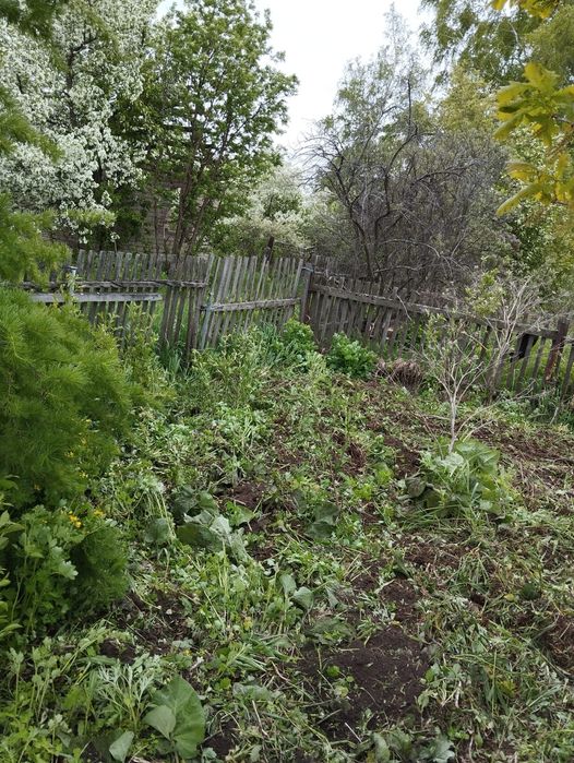 Продам Дачу с/о Ракета