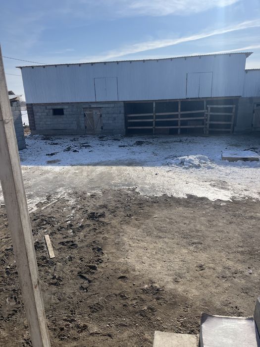 Продам дом в селе Алтыуй