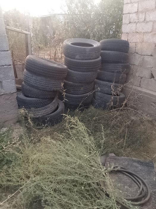 Балондар бар арзан