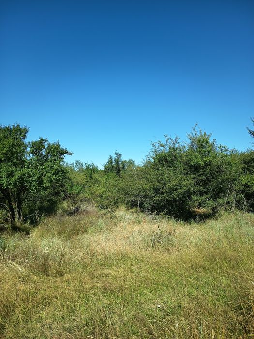 Vând teren intravilan,strada prunilor,Smeura la 3 km de centrul orașul