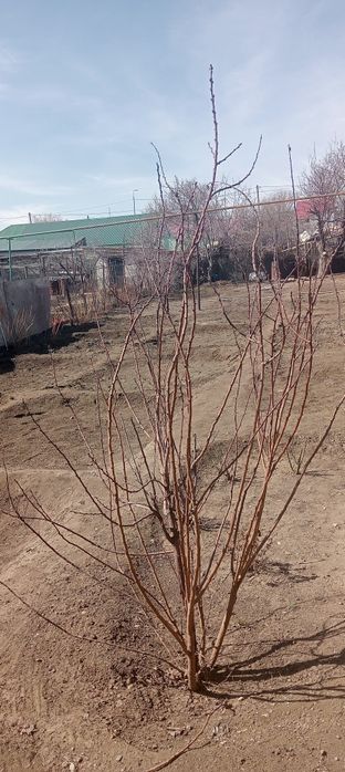 Продам частный дом в центре города