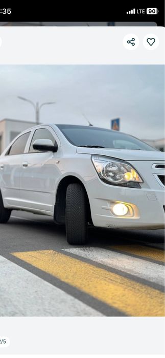 Kobalt 2016. Vikup Arenda beriladi