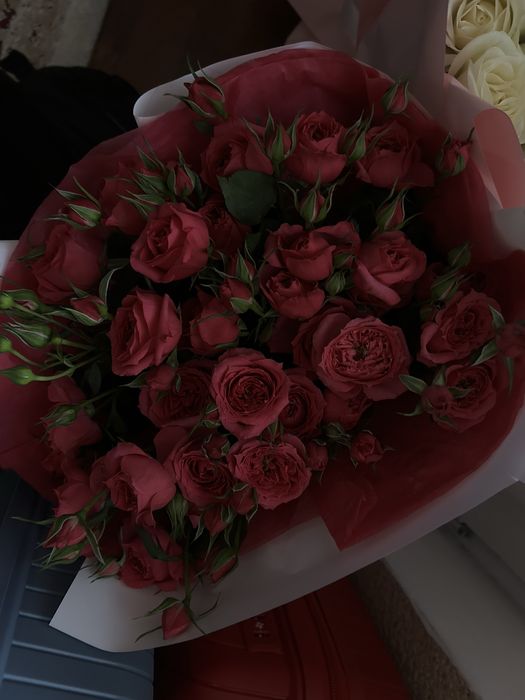 Продам цветы недерого