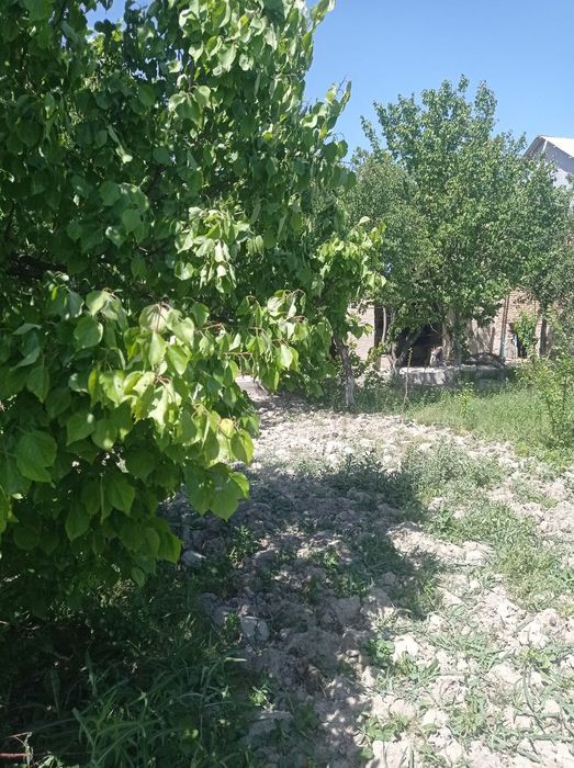 Barcha sharoitlarga ega xovli