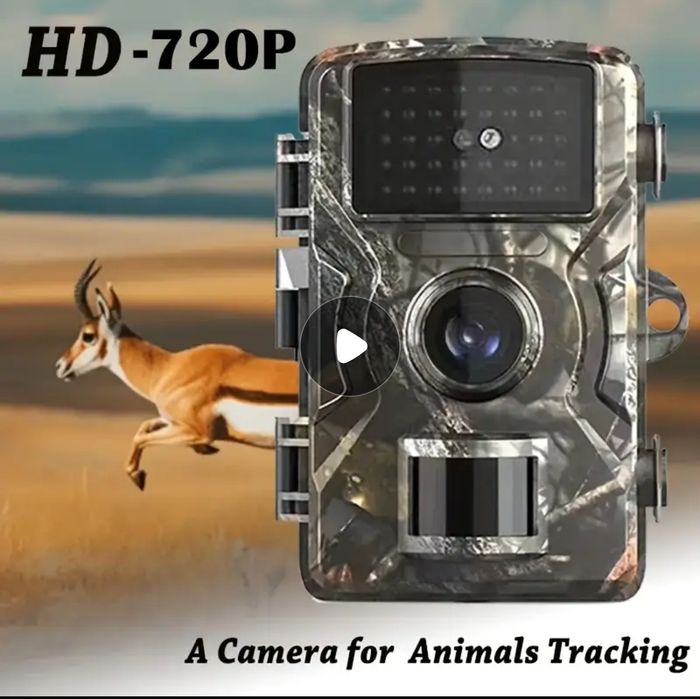 Горска нощно виждане