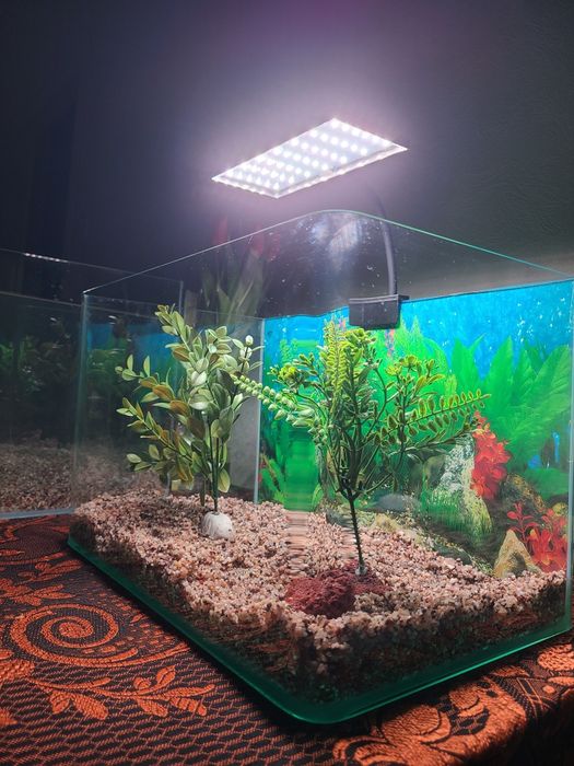 Yengi akvaryum sotiladi