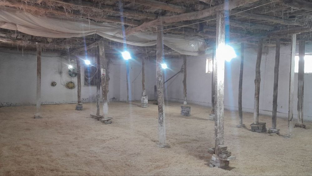 Янгиарик тумани Остона кишлоги Сардорлар махалласида бино ва ер майдон