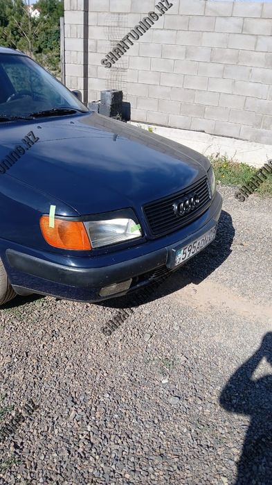 Audi 100 C4 Onyx реснички