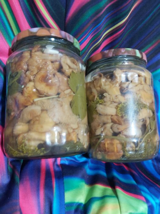 Грибы маринованные и солёные.