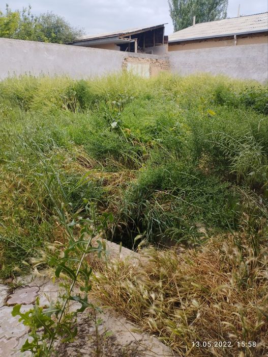 Продаётся участок в ташкентском районе ГИШТ КУПРИК