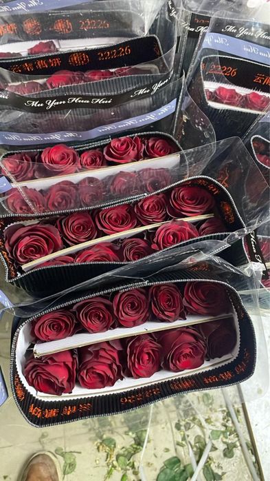 Розы Оптом А класс