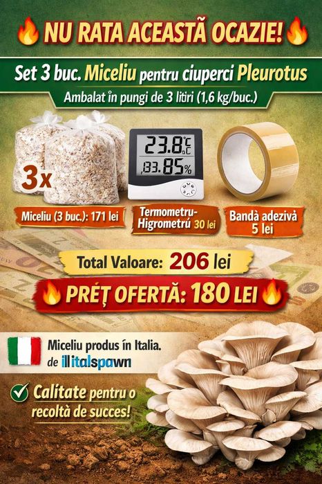 Set 3 pungi Miceliu (samanta) Pleurotus +Termomestru Higrometru+ Bonus