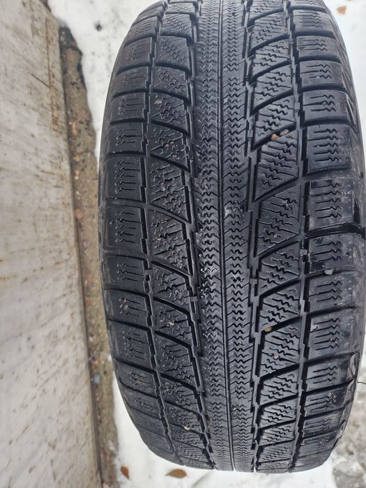 Шины, лапочка TRIANGL