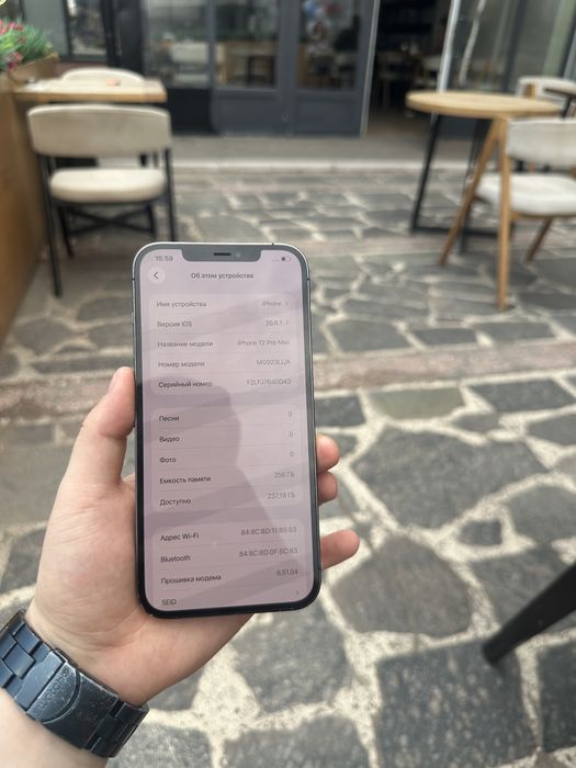 Iphone 12 Pro Max 256Gb 100%