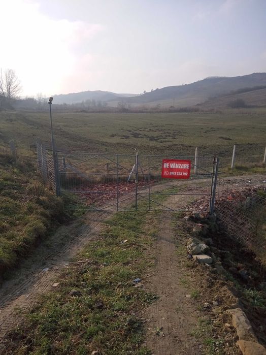 Teren de vînzare in Nicula