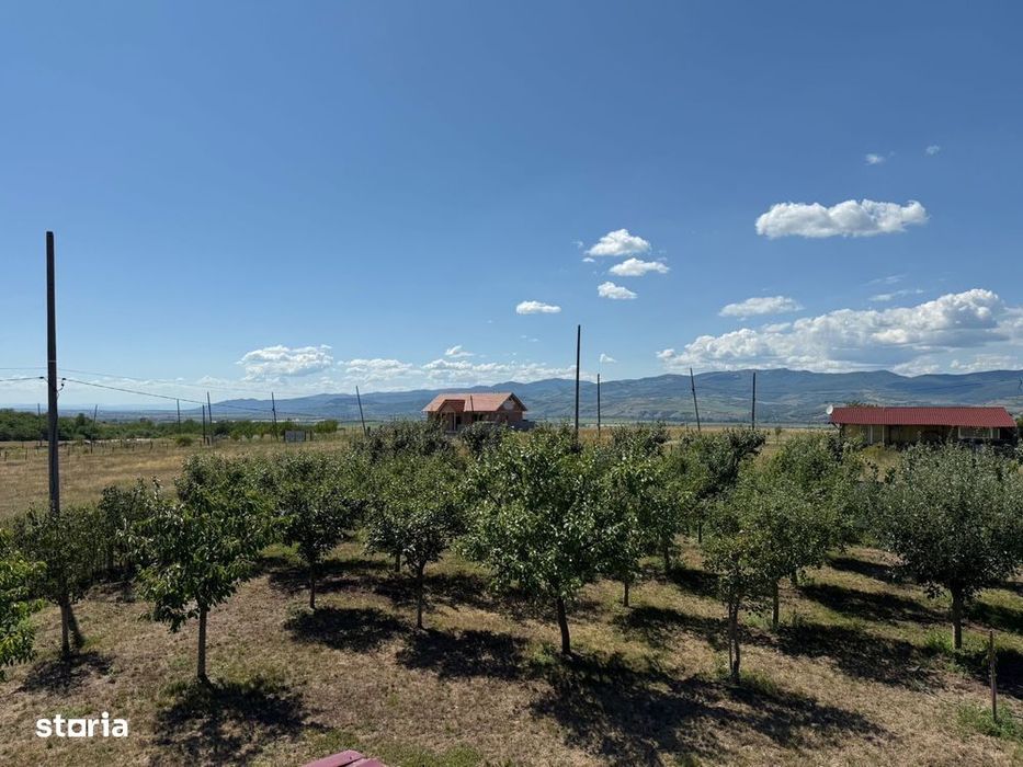 Cabana de lemn, 2 camere, teren 850 mp, livada, Oarda, Alba Iulia