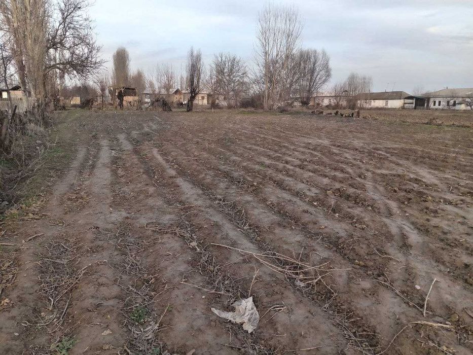 UY sotaman,Yashash uchun qulay asfalt ko'chada