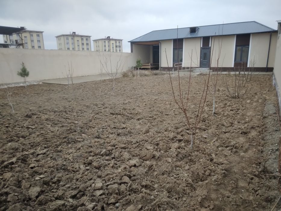 Мехнат Бешбармок. 5 сотих