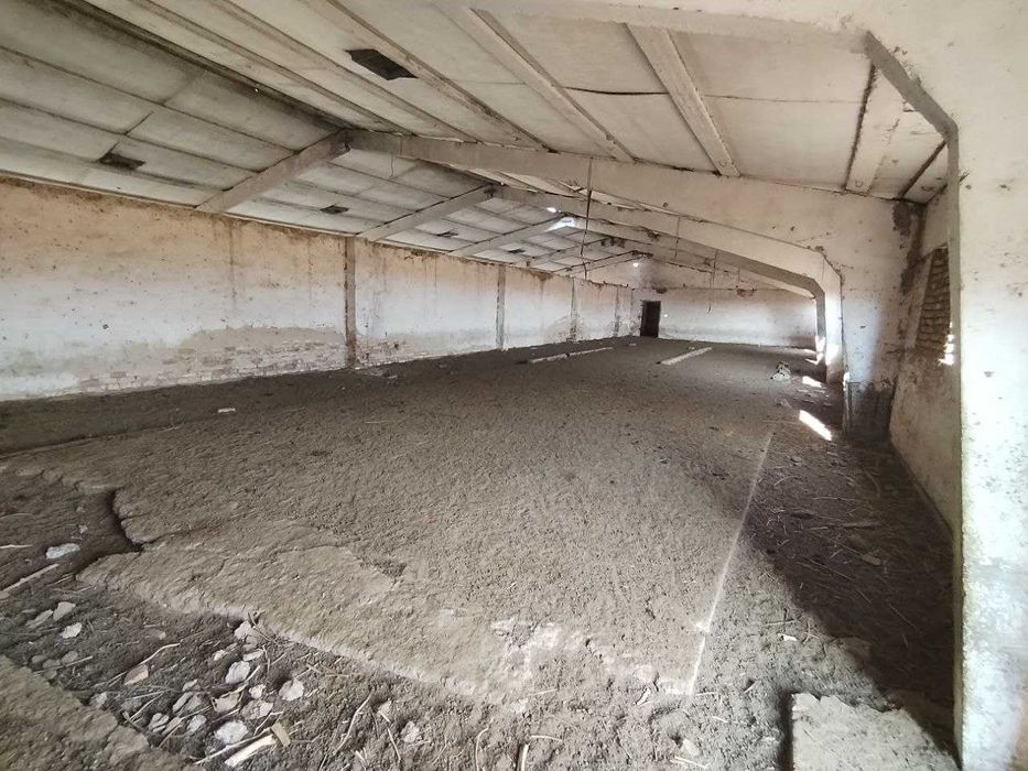 Мал ферма сатылады, яки арендага бериледи