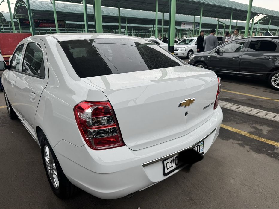 Other Cobalt 2025 — 4