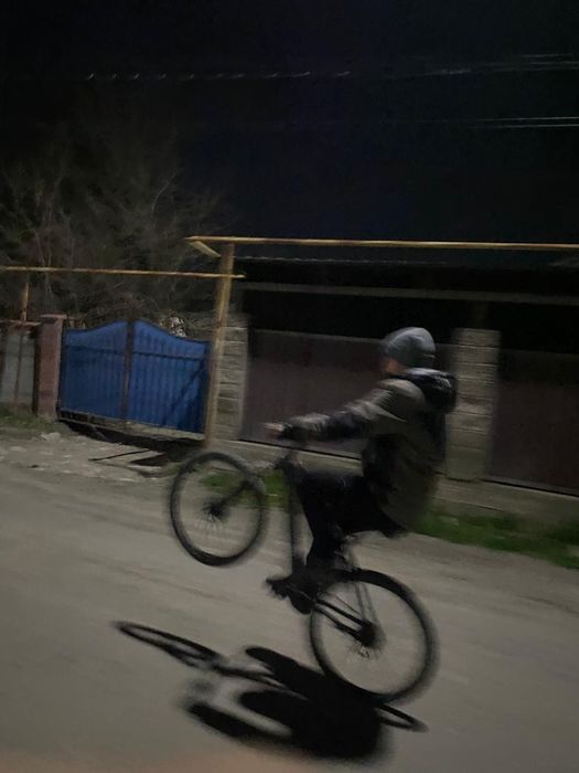 Велик сатылады келісеміз