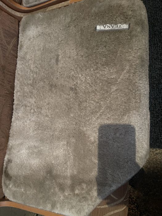 Полик для Теана машины