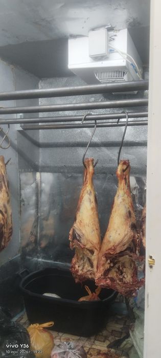 Магазин ЕТ—МЯСО. Демченко 31
