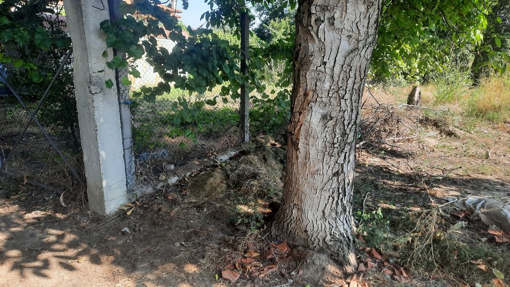 Продава се Парцел в Пловдив, Беломорски - 400 кв.м за 170 €/кв.м - Снимка #6