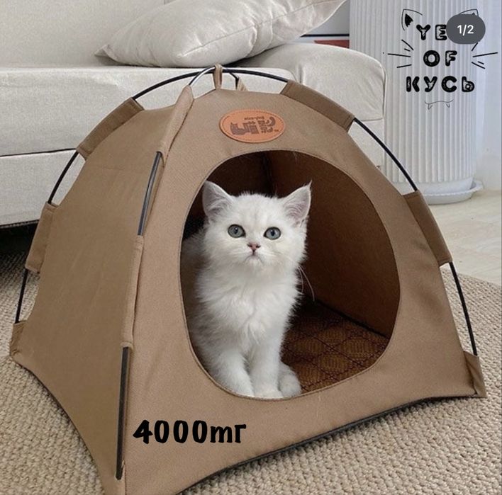 Товары для кошек