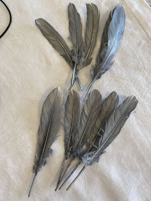 Перья . Үкі. Посеребряные . Германия .Штука 1000 тенге