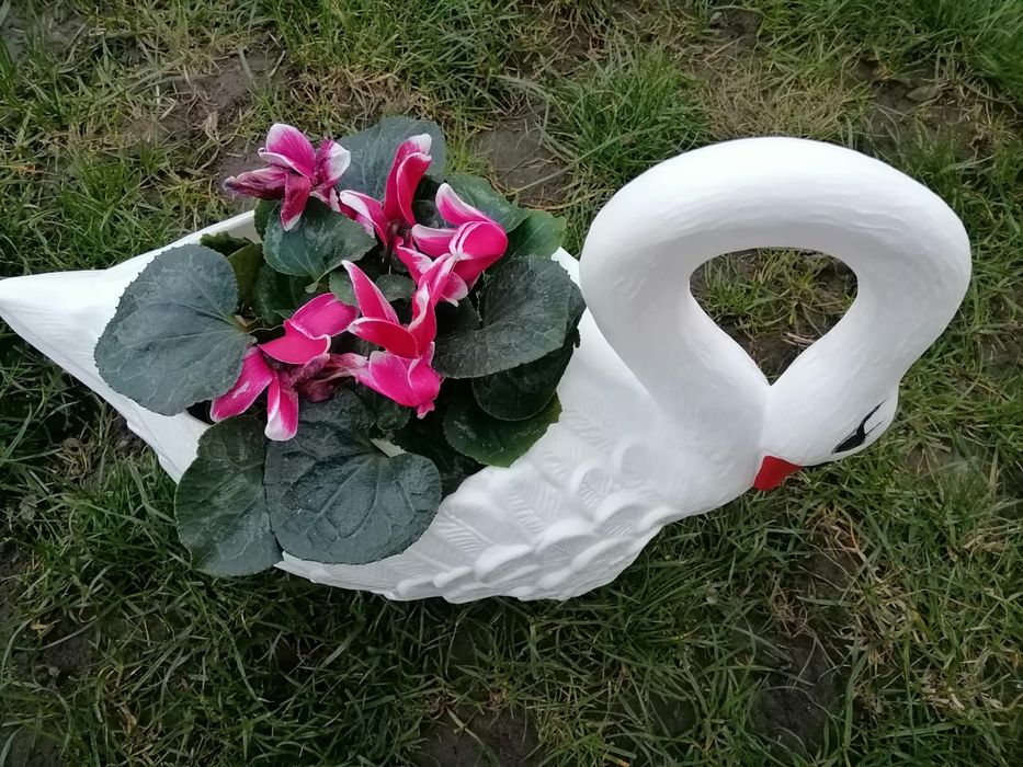 Ghiveci flori lebădă