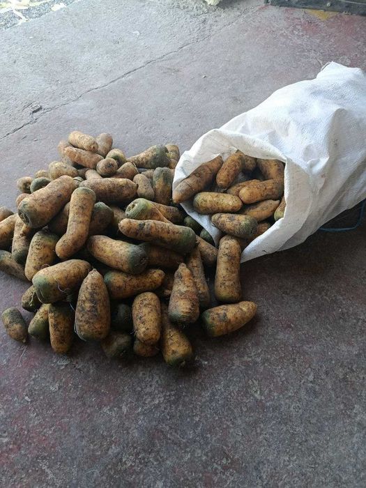 Ishonarli savzi maxsulotlari qulay va xamyonbob narxlarda