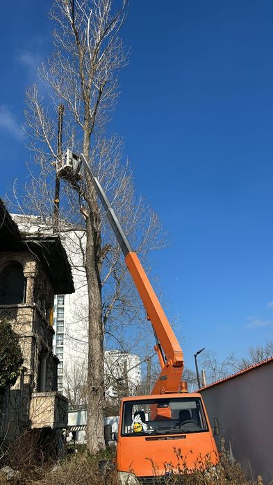 Servicii de curățare terenuri -defrisari toaletari