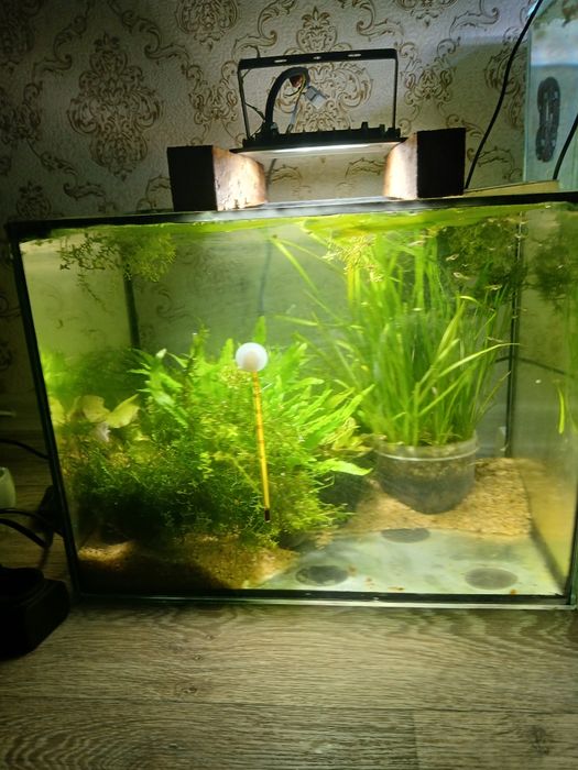 Аквариум в комплекте с рыбками
