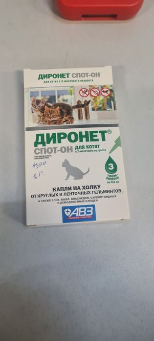 Ласковая,молодая кошечка ищет дом