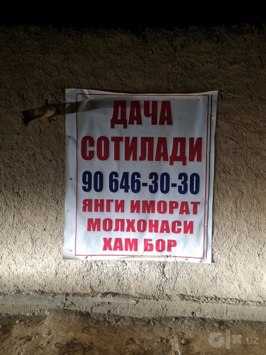 160 milon kumushkondan dacha sotiladi